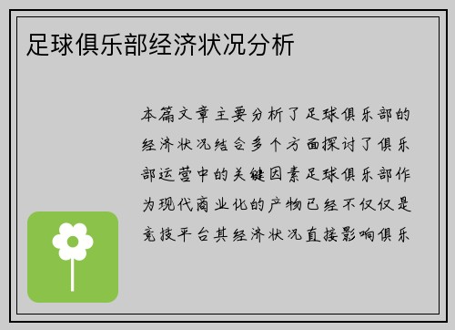 足球俱乐部经济状况分析
