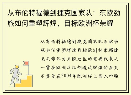 从布伦特福德到捷克国家队：东欧劲旅如何重塑辉煌，目标欧洲杯荣耀