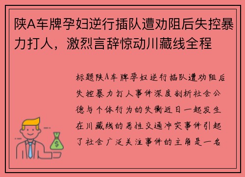 陕A车牌孕妇逆行插队遭劝阻后失控暴力打人，激烈言辞惊动川藏线全程