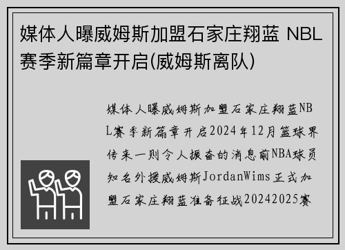 媒体人曝威姆斯加盟石家庄翔蓝 NBL赛季新篇章开启(威姆斯离队)