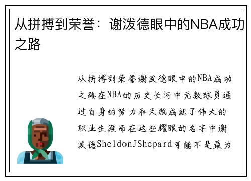 从拼搏到荣誉：谢泼德眼中的NBA成功之路